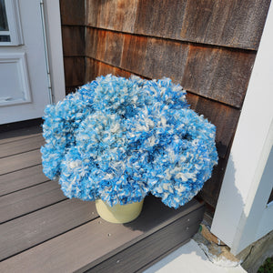 New England Hydrangeas