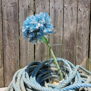 New England Hydrangeas