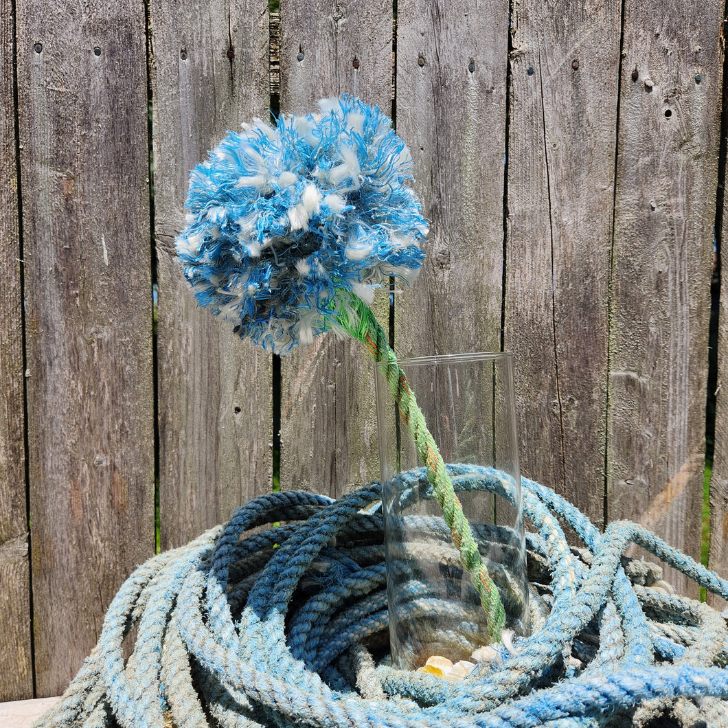 New England Hydrangeas